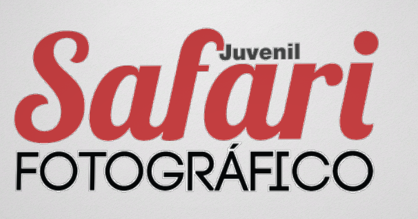 Safari Fotográfico